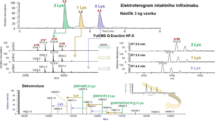 Obr. 4: Elektroforeogram intaktného infliximabu - biologického liečiva autoimunitného ochorenia - s identifikovanými glykoformami pomocou Q Exactive Plus Biopharma