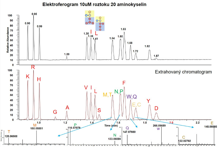 Obr. 5: Elektroforegram 20 aminokyslin, 2-minutová analýza s HRMS identifikací.