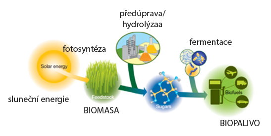 Použití techniky dynamické sorpce par: Produkce biopaliv – Schéma vývoje