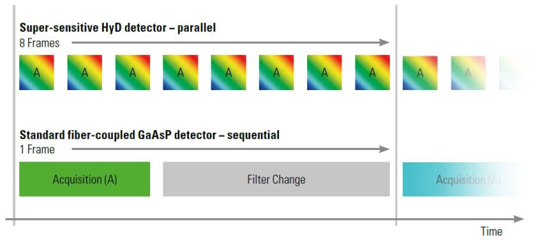 HyVolution_Multiple-Colors_Graph.jpg