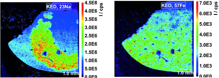 Obr. 11: Mapy priestorovej distribúcie 23 Na (vľavo) a 57 Fe (vpravo) pre SQ-KED mód