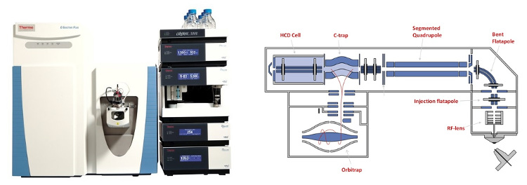 Thermo Scientific Quadrupole-Orbitrap a vysokoúčinná kapalinová chromatografie HPLC