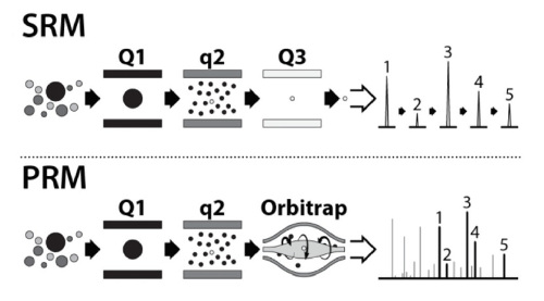 Grafické znázornění SRM a PRM módu v kvadrupólu a Orbitrapu
