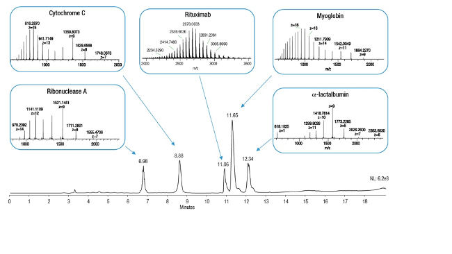 Obr. 2: Total Ion Current (TIC) spoločne s extrahovanými iónovými chromatogrammi pre 5 analyzovaných terapeutických proteínov