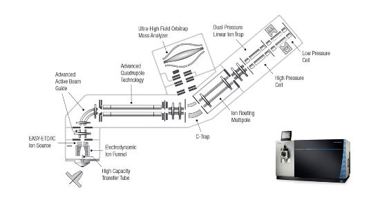 Obr. 1 - Thermo Scientific™ Orbitrap Fusion™ Lumos™ Tribrid™ hybridný hmotnostný spektrometer