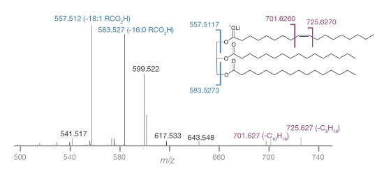 Obr. 3: HRAMS-UVPD-MSn fragmentačné spektrum triacylglycerolu (TAG) s vyznačenými diagnostickými iónmi pre polohu dvojitých väzieb