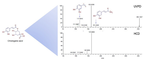 Obr. 4: Porovnání HRAM-UVPD/HCD-MSn spekter kyseliny chlorogenové. Viditelné jsou specifické fragmenty poskytující pouze UVPD fragmentace.