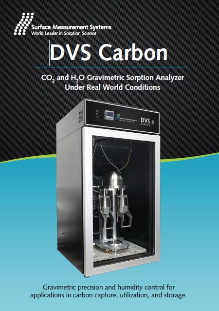 DVS%20Carbon.JPG