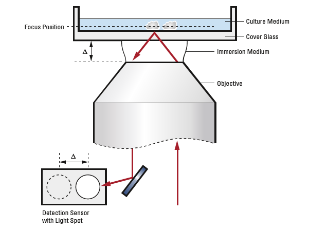 Autofokus