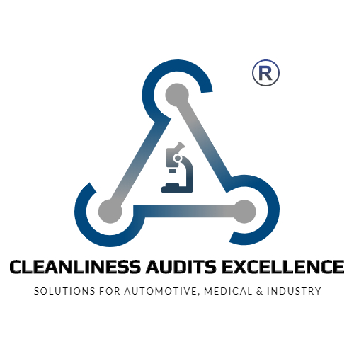 Cleanliness Audits Excellence