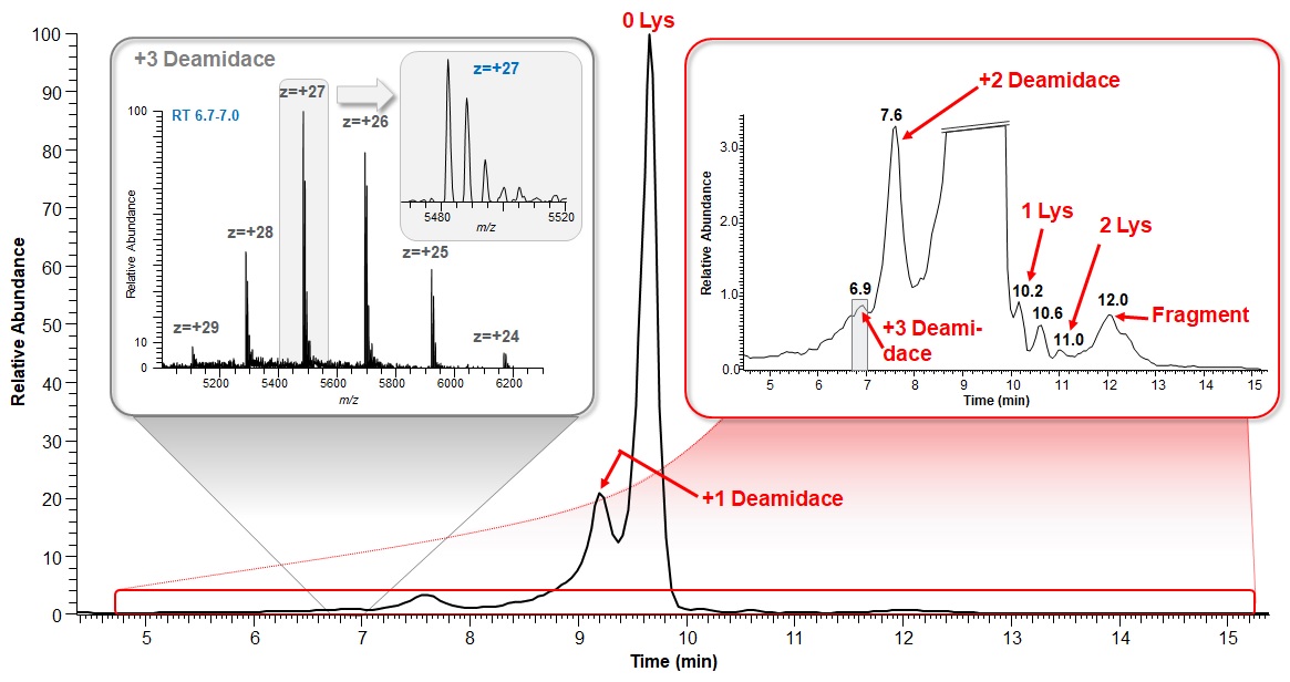 Chromatografická separácia adalimumabu na iónomeniči, odhaľujúca prítomnosť nábojových variantov