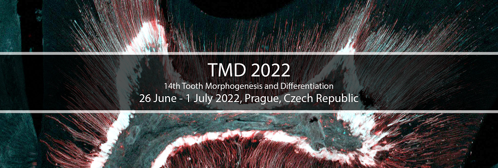 TMD%202022.PNG