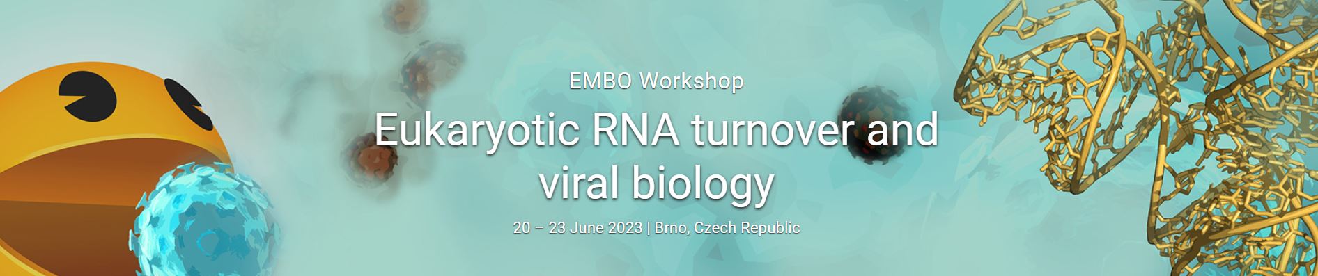 Eukaryotic%20RNA%20turnover%20and%20vira