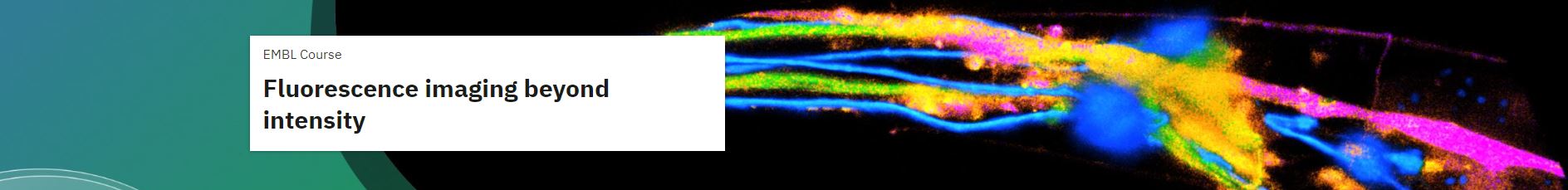 Fluorescence%20imaging%20beyond%20intens