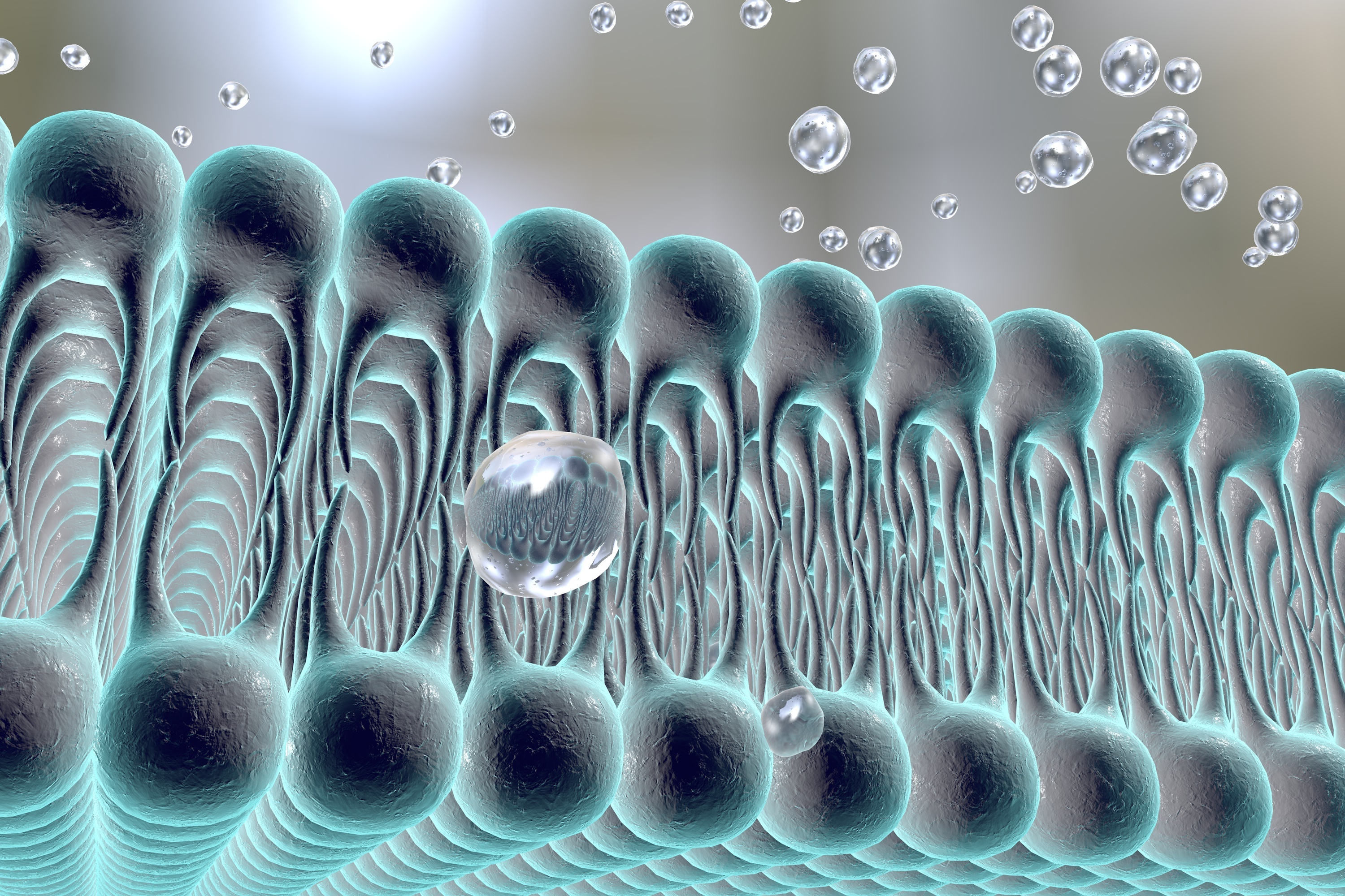 Structural%20lipidomics%20using%20Real-T